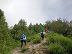 -北京鹫峰国家森林公园
