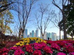 -北外滩滨江绿地