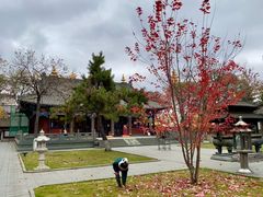 -护国法轮寺