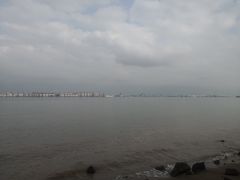 -海鸥岛