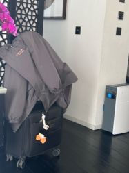 -玛瑞莎孕婴童摄影到家拍