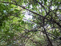 -北运河水利风景区