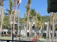 -半山半岛洲际度假酒店·观海廊