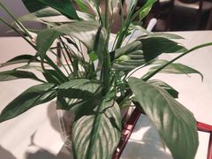 -大鸭梨烤鸭(枣园店)