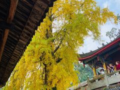 -金堂县云顶石城风景区