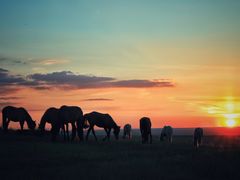 -呼和诺尔旅游景区