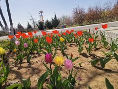 -永定河休闲森林公园