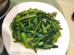 -旅宁大酒店