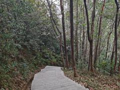 -福神岗公园