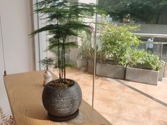 -左悦·艾灸调理·推拿按摩·精油SPA(卓悦汇店)