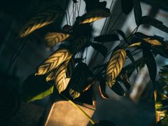 -腾爱熊猫咖啡生活馆(老东门店)