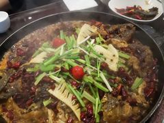 -老板恋上鱼(环山路店)