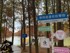 -上海海湾国家森林公园