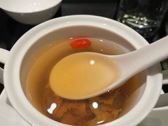 土鸡炖响螺-北京四季酒店·采逸轩