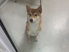 -美美宠物诊疗中心·异宠·骨科(滨江东信分院)