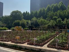 -武汉市第四中学