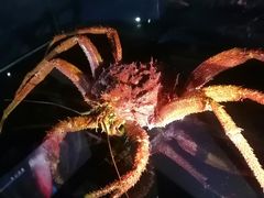 -同济大学四平路校区深海探索馆