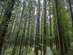-山王坪喀斯特国家生态公园