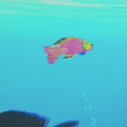 -酷嗒动物文化乐园(cutezoo西溪乐天城店)