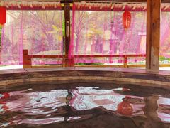 -华山御温泉度假村