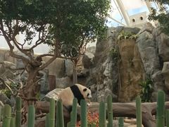 -香港海洋公园