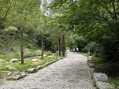 -十渡东湖港风景区