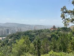 -白塔山公园