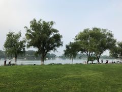 -麦森创意蛋糕(新模范马路地铁站店)