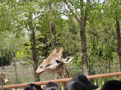 -大连森林动物园