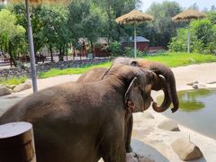 -北京野生动物园