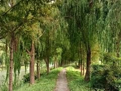 -句容茅山景区
