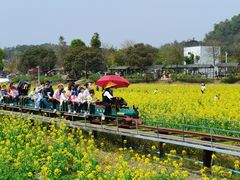 -红山村