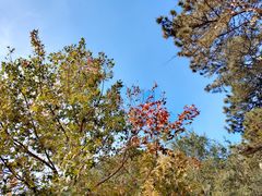 -北京西山国家森林公园