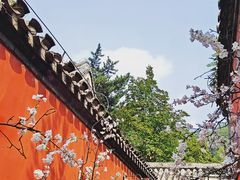 -潭柘寺景区