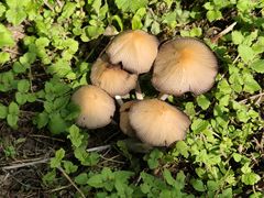 -汉长安城未央宫国家考古遗址公园