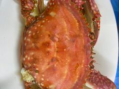 -鑫鸿达·海鲜闽菜热炒小馆(中山路店)