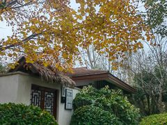 -思念果岭悦温泉