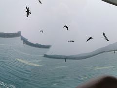 -海驴岛(荣成市)