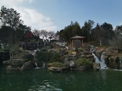 -秀丽东方