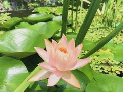 -肴约·花园式餐厅(湖里店)