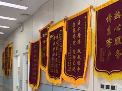 -中农国际动物医院24小时·猫科·骨科·急重症中心