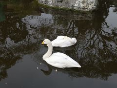 -昆明动物园