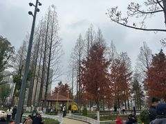 -宁波儿童公园(鄞州区)