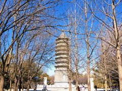 -古塔公园