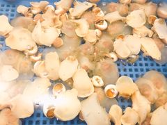 -袁老大龙虾(石鼓路总店)