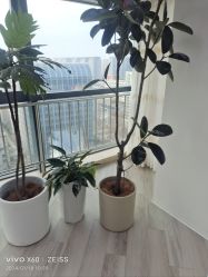 -HEYAN荷妍专业脱毛连锁机构