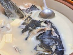 -全乐鱼馆·淳牌有机鱼直营店