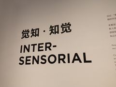 -上海当代艺术博物馆