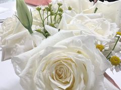 -Ralph’s Coffee(深圳罗湖万象城店)