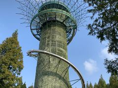 -黄海国家森林公园